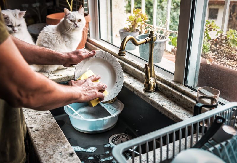 Jak čistit dřez bez chemických prostředků