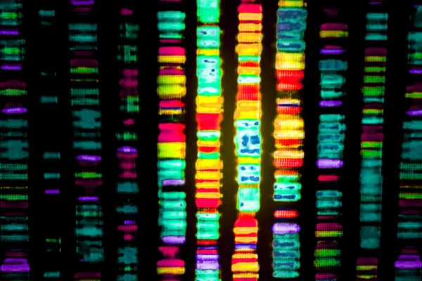 98% záhada: Vědci rozluštili kód „odpadní DNA“ spojené s Alzheimerovou chorobou