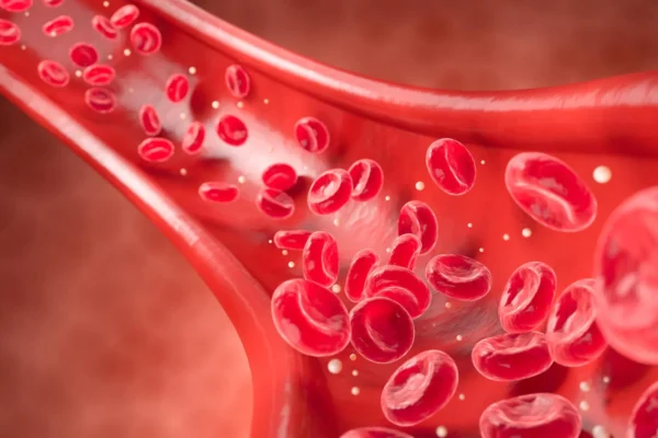 Nový sken odhalí srdeční onemocnění roky před příznaky