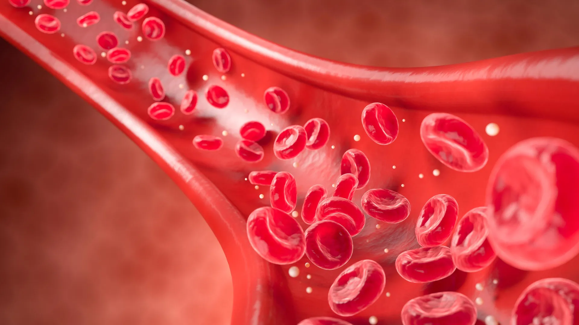 Nový sken odhalí srdeční onemocnění roky před příznaky