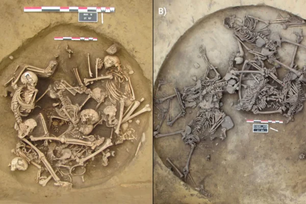 Starověké kosti odhalují děsivé vítězné rituály po nejstarších válkách v Evropě