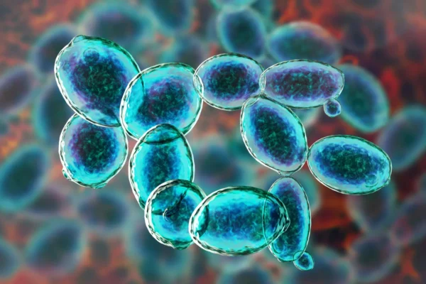 Tento malý organismus odmítl zemřít za podmínek podobných Marsu