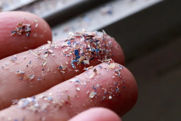 Mikroplasty nalezeny v 90 % nádorů prostaty, odhaluje studie