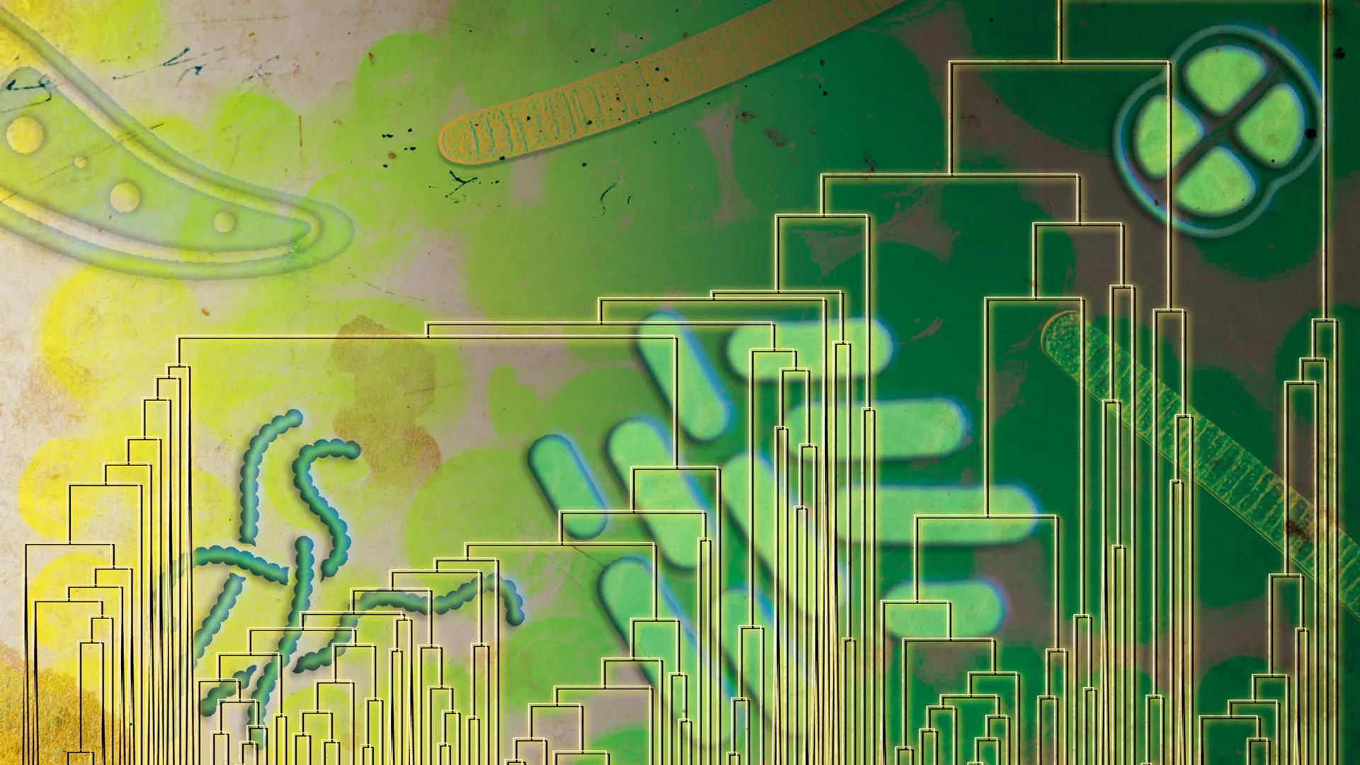 Starověké mikroby mohly využívat kyslík 500 milionů let předtím, než naplnil atmosféru Země