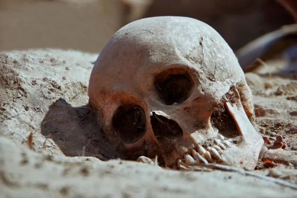 2700 let staré zuby odhalují skrytý život Italů doby železné