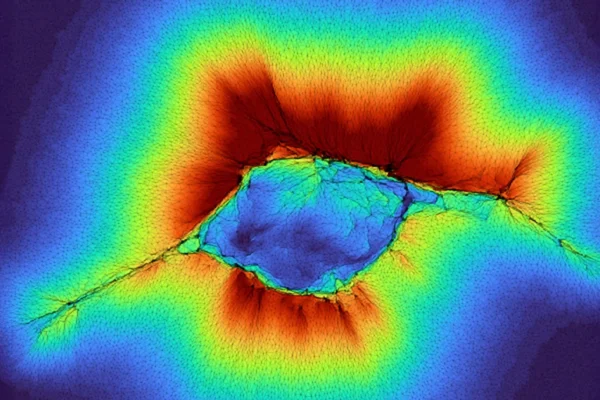 Buňky mohou cítit 10x dál, než se očekávalo, což může vysvětlit šíření rakoviny