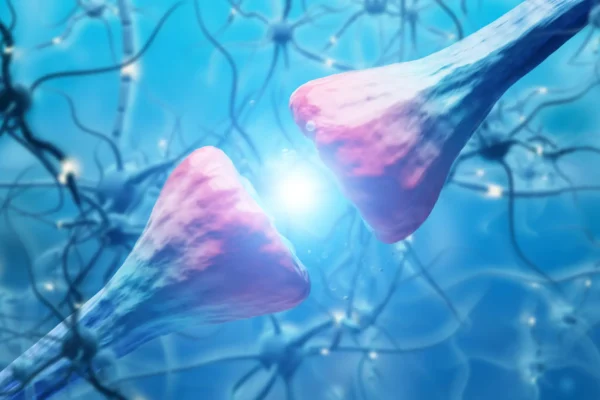 Vědci objevili mozkový protein, který způsobuje relaps kokainu