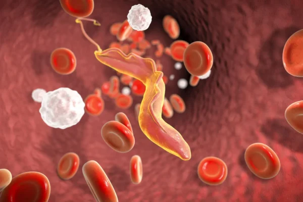 Vědci objevili „molekulární drtič“, který pomáhá smrtelnému parazitu unikat imunitnímu systému