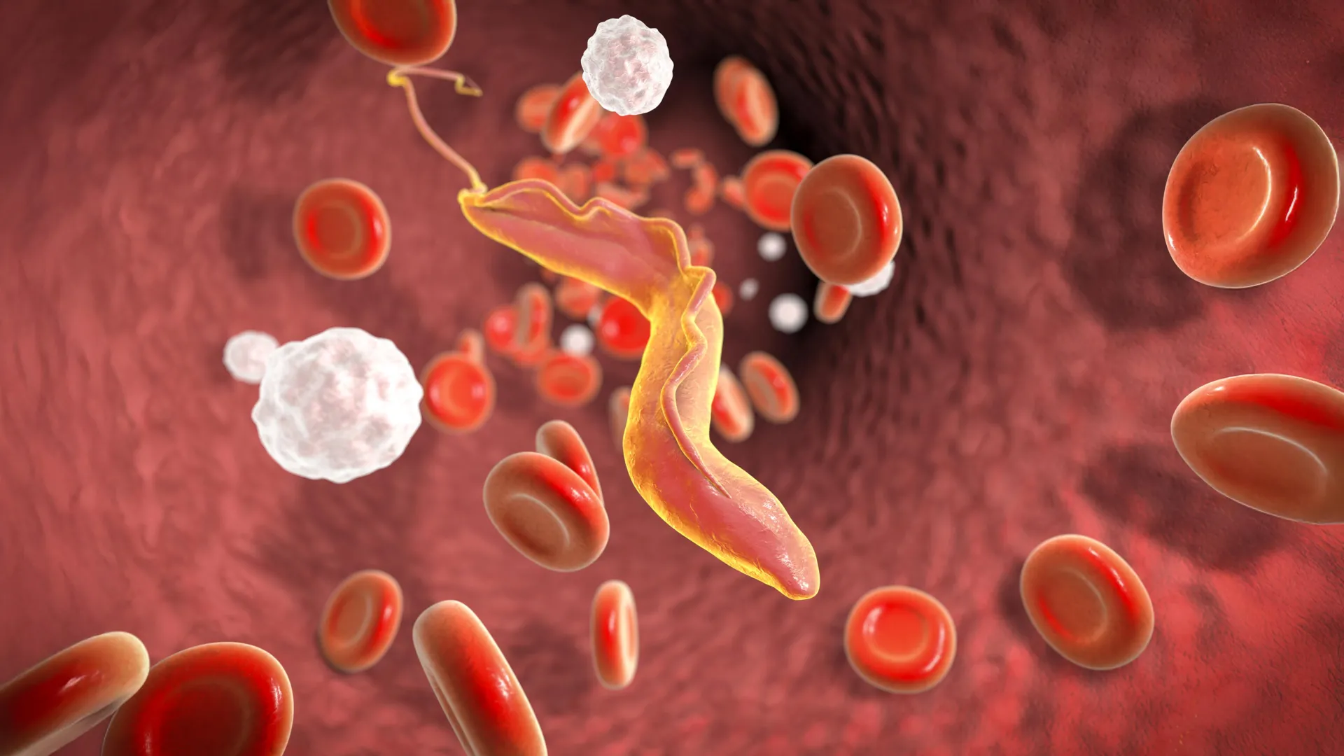 Vědci objevili „molekulární drtič“, který pomáhá smrtelnému parazitu unikat imunitnímu systému