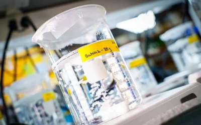 Průlomový biomateriál léčí tkáně zevnitř ven