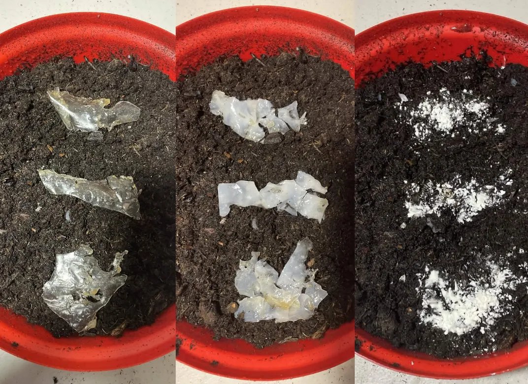 Eco Purge: tři fáze biodegradace plastu v půdě