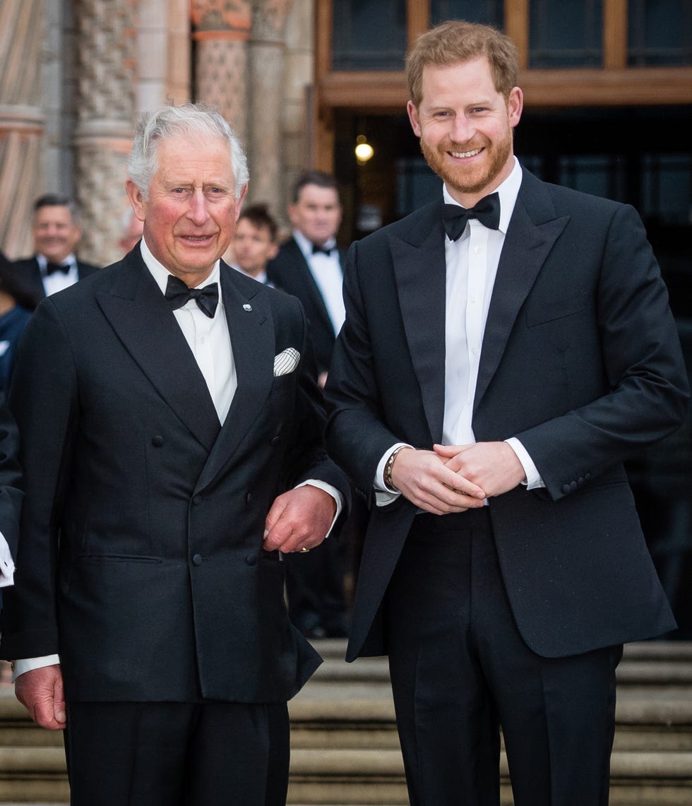 Harry a Meghan na červeném koberci premiéry 'Our Planet'