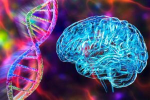 Tajemství odolnosti vůči Alzheimeru: Nečekaná genetická ochrana